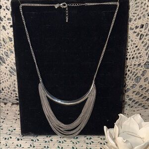 Charming Charlie Silver Chain Fringe Necklace